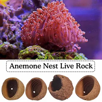 1 шт. Гнездо анемоны Предотвращает утечку глины и живого камня, изготовленное для аквариума, рифовых аквариумных растений