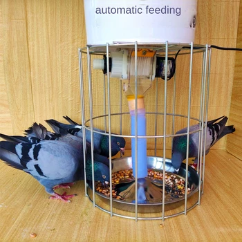 Автоматическая кормушка для домашней птицы, дистанционная кормушка для голубей, солнечная кормушка