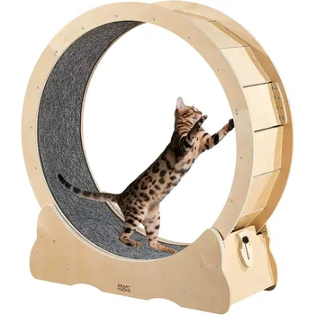 Тренажер Cat Wheel Подходит для домашних кошек, большие беговые колеса, колеса для упражнений с фиксатором, беговая дорожка для кошек